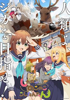 恋上周日